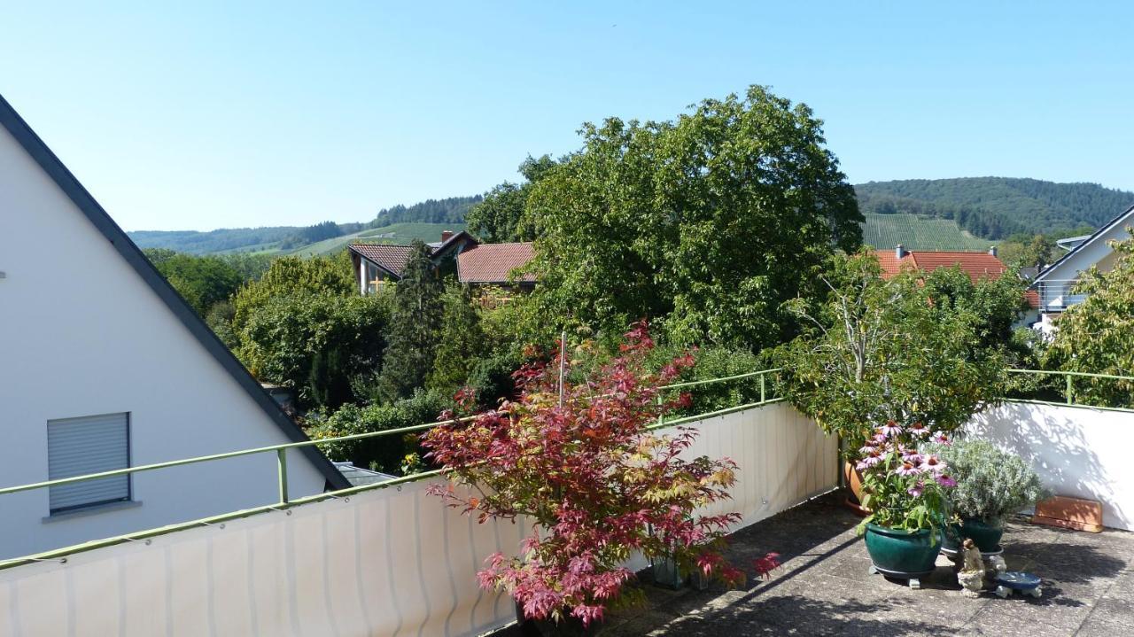 Eifelidylle Am Moselmaareradweg Apartman Wittlich Kültér fotó